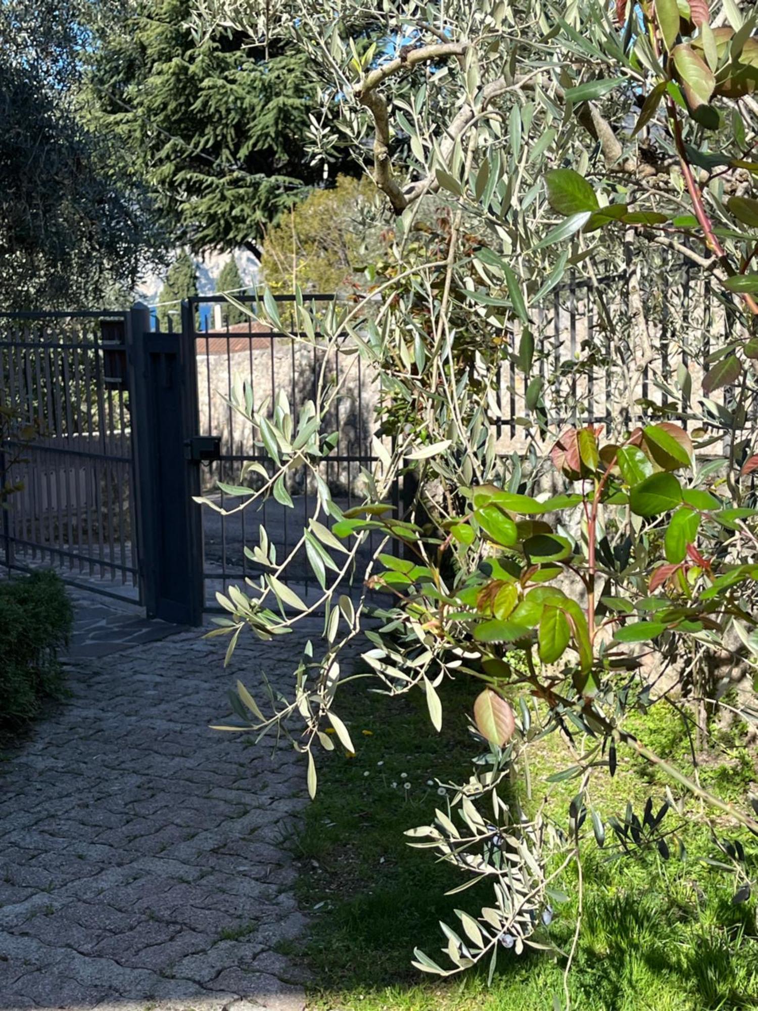 Casa Noario Apartamento Malcesine Exterior foto